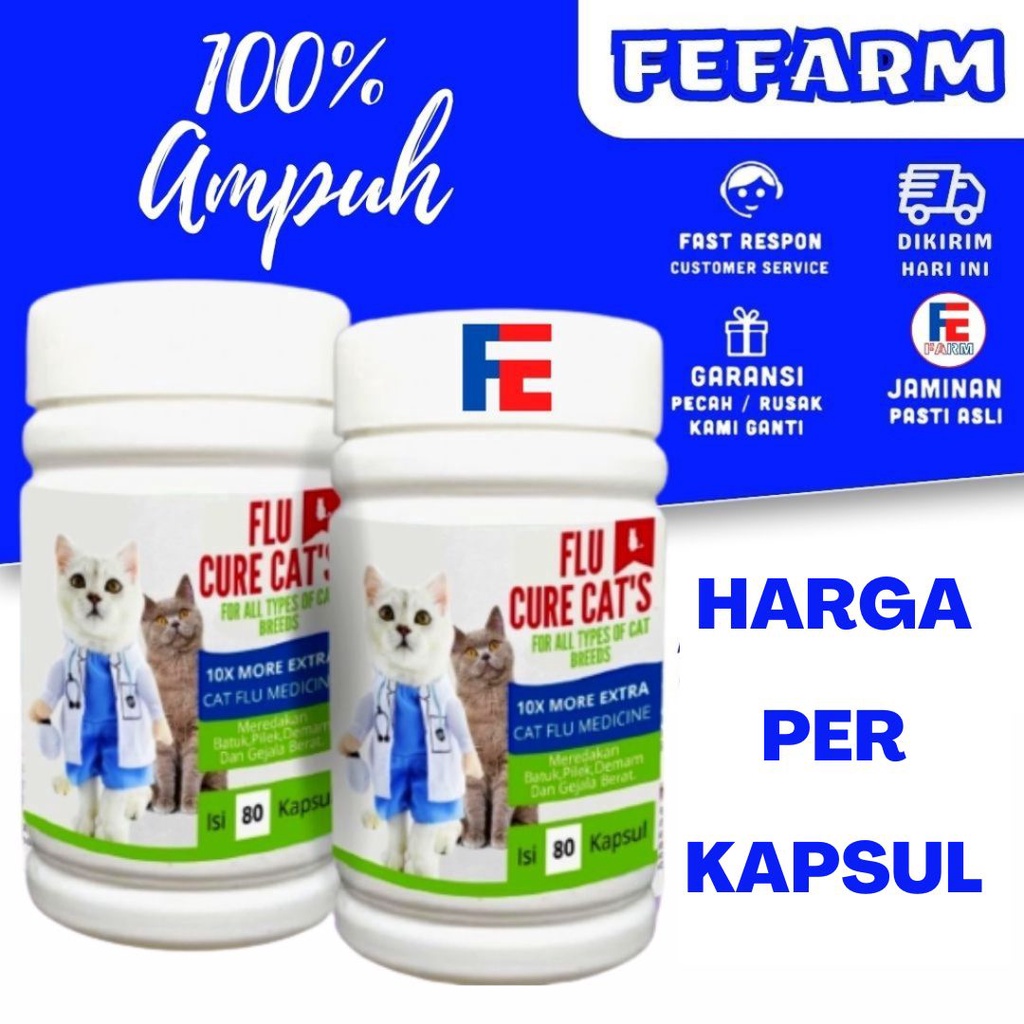 OBAT FLU KUCING / PILEK | AMAN UNTUK KUCING HAMIL DAN MENYUSUI ECERAN FEFARM