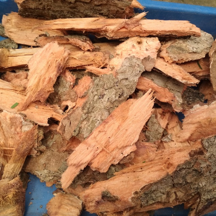 500 GRAM KULIT KAYU DUWET - JAMBLANG KERING - JUWET