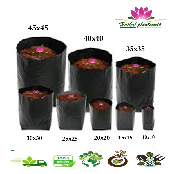 Jual Plastik Polibag Uk 35x35 Polybag Poliback Polibek Polibak Shopee