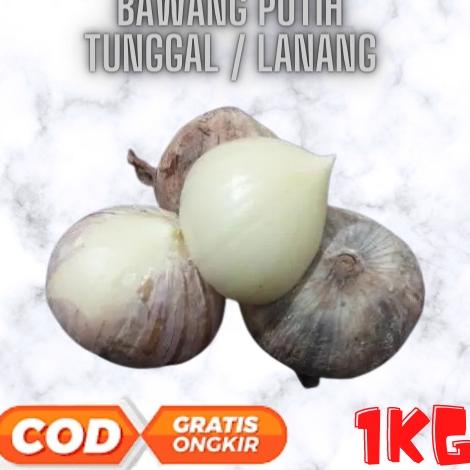 

✧Murah K0EKP Bawang Putih Tunggal Lanang 1 Kg | Cocok untuk Madu 82 ☋Pasti Murah