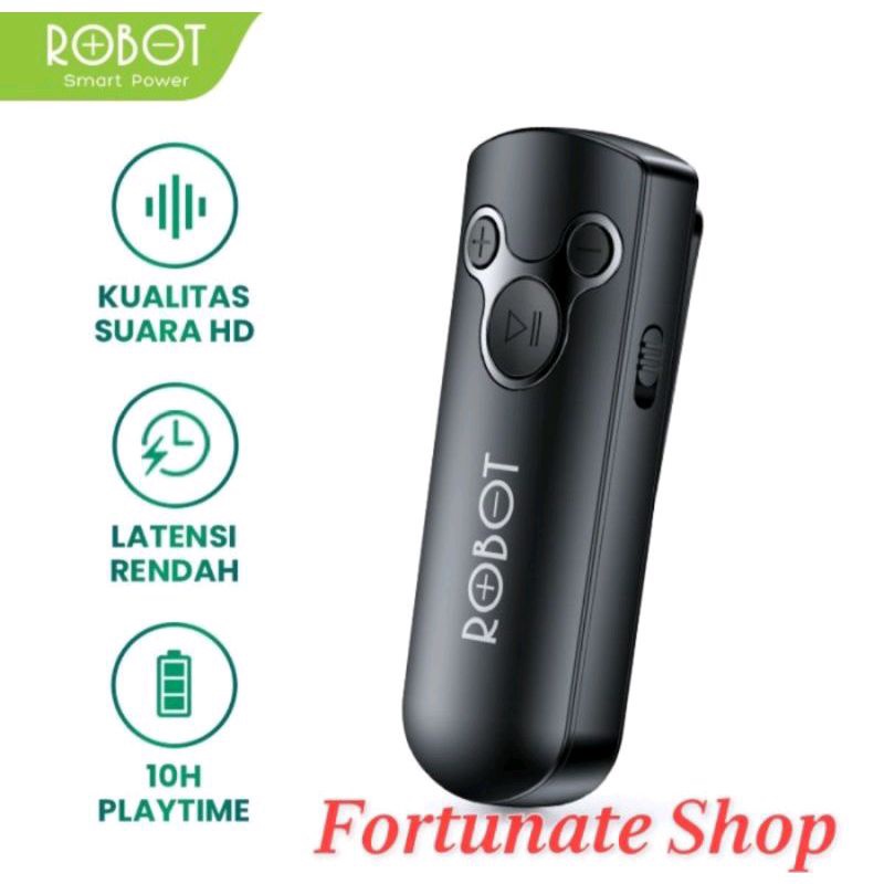 Robot audio receiver RS10
