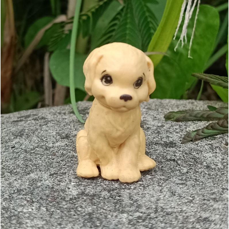 miniatur pet dog original pict2