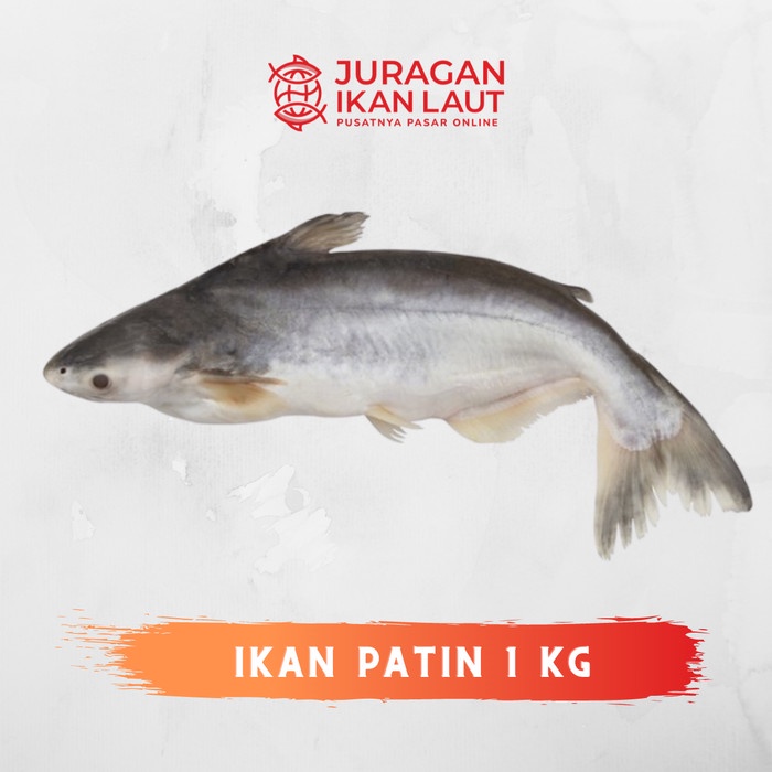 

Ikan Patin Segar - 1 Kilogram JABODETABEK