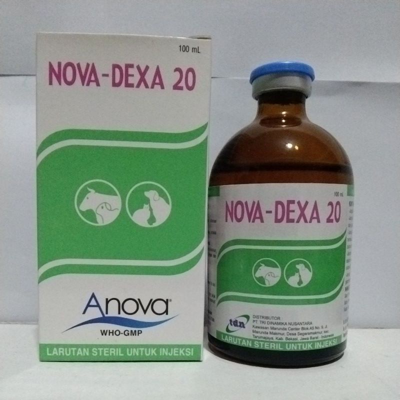 Jual Nova Dexa Ml Shopee Indonesia