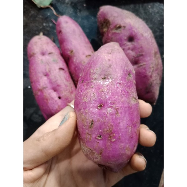UBI JALAR UNGU FRESH UKURAN 1KG