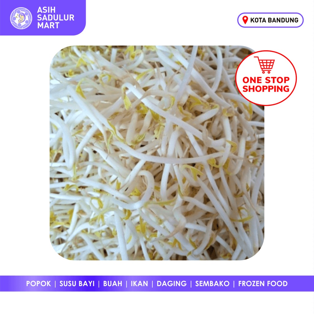 Toge / Tauge Moyashi 500gr Sayur Segar | Sayuran Asih Sadulur Mart