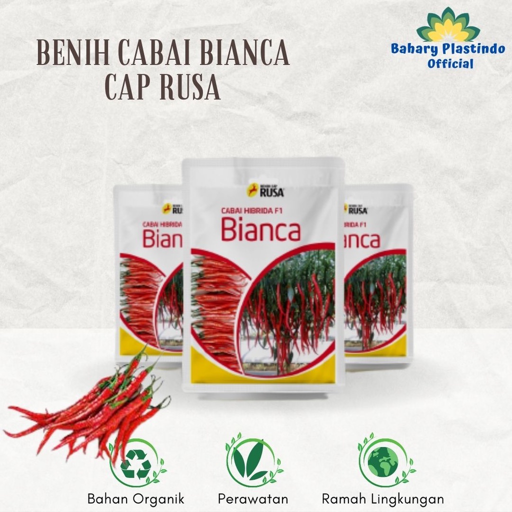 Benih Cabai Besar Hibrida F1 BIANCA CAP RUSA [10 gr]