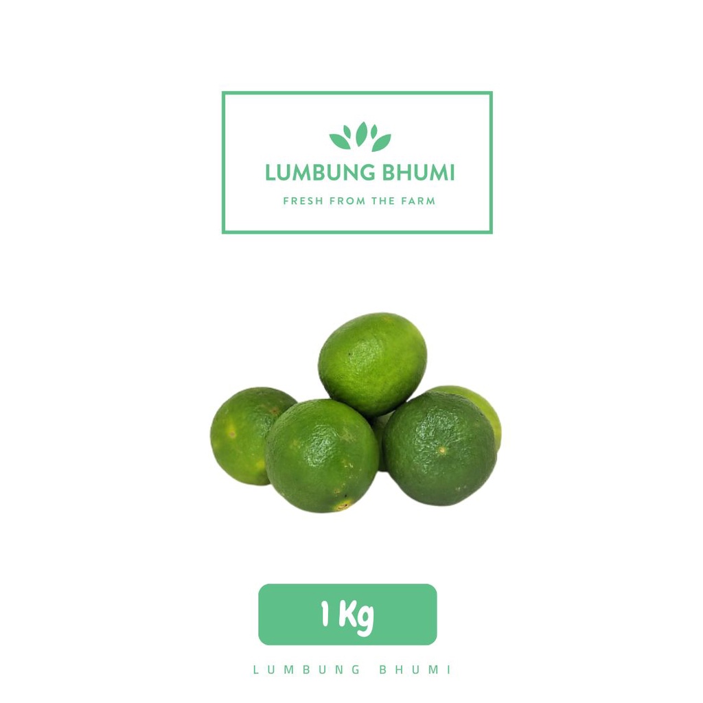 

Lumbung Bhumi - Jeruk Nipis 1 Kg ( Sayur Curah )