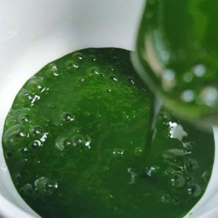 

Endapan pandan murni