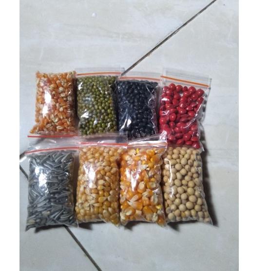 >XG34448<  8 Macam Biji Bijian Bahan Kolase