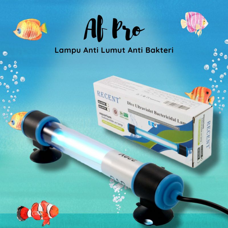 Lampu anti lumut UV RECENT AA 7WATT