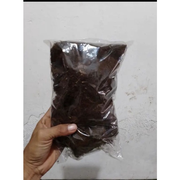 mos hitam kadaka sangat bagus untuk buat media,media cangkok