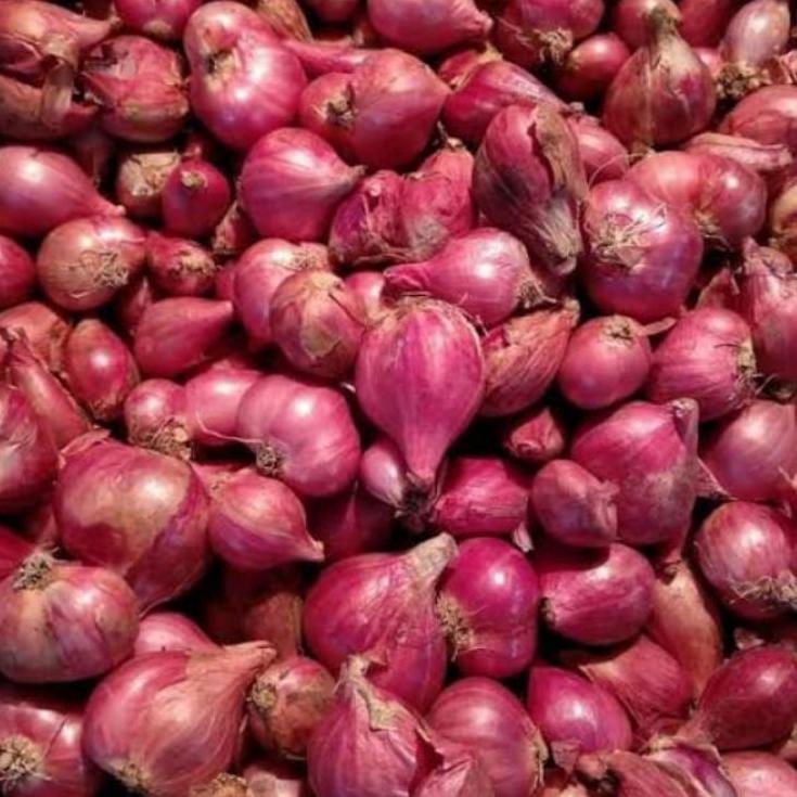 

TERBARU Bawang merah lokal 1Kg ✯ 883