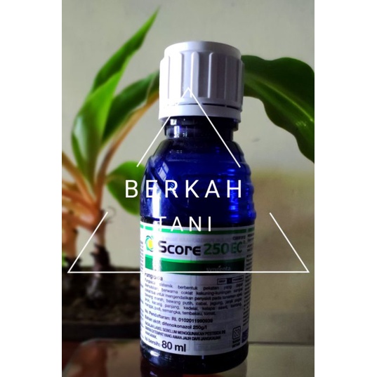 SCORE 250EC 80ml Fungisida ORIGINAL 100%