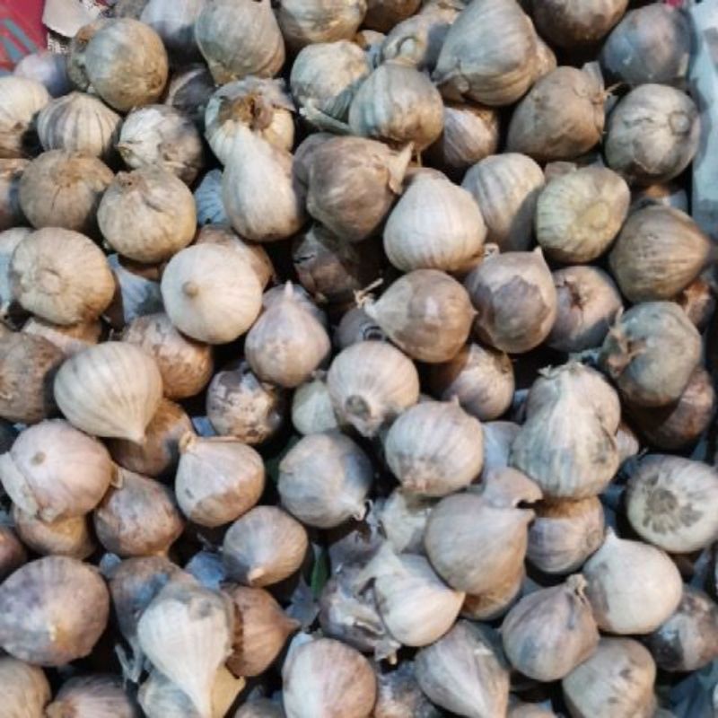 

BAWANG PUTIH TUNGGAL 250G