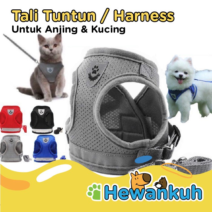 HARNESS KUCING TALI PANJANG