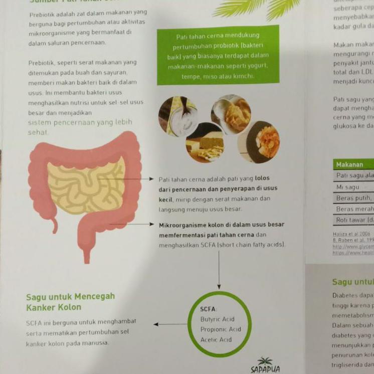 

READYC♕ Sapapua (Sagu Papua)asli dari Papua harga untuk 1kg [142]