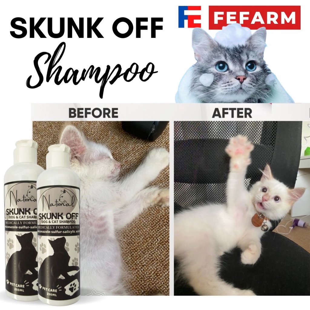 PAKET HEMAT BEDAK KUTU + SHAMPO KUTU MICONAZOLE SKUNK OFF BECAT FEFARM