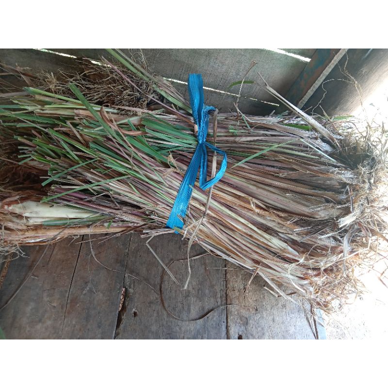 

Sereh Wangi/ Serai merah Asli 1 Kg