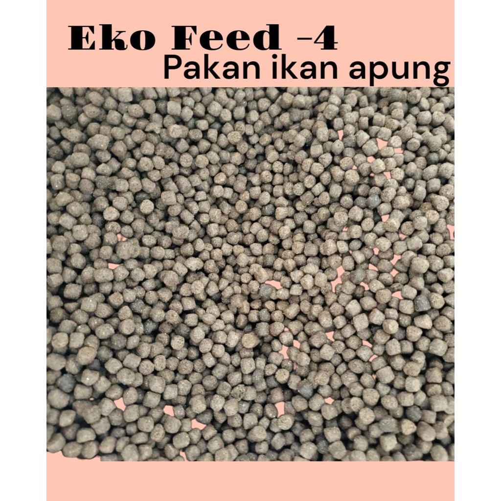 PELET APUNG EKO FEED -4 10 kg PAKAN Ikan Mas, Lele, Gurame, Bandeng