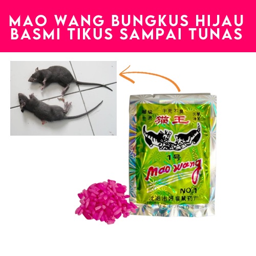 [Paket 5 Biji] Racun Tikus Mao Wang Maowang Bungkus HIJAU Obat Anti Hama Mati Kering