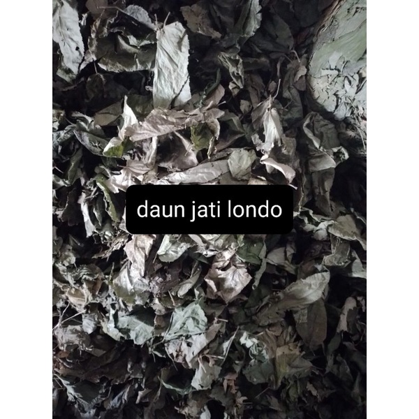 

Daun Jati Belanda Kering 1Kg
