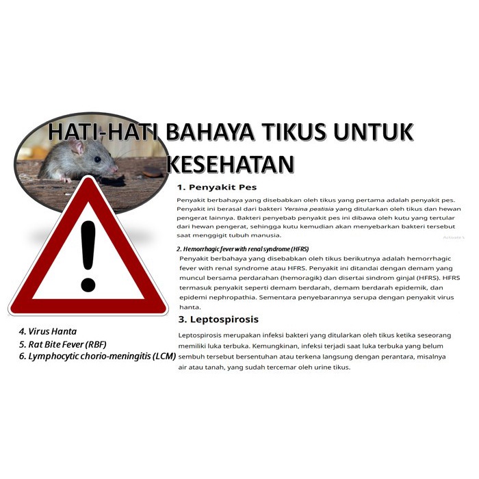 Pengusir tikus mobil dan rumah tanpa racun aman untuk kesehatan suplayer OPI