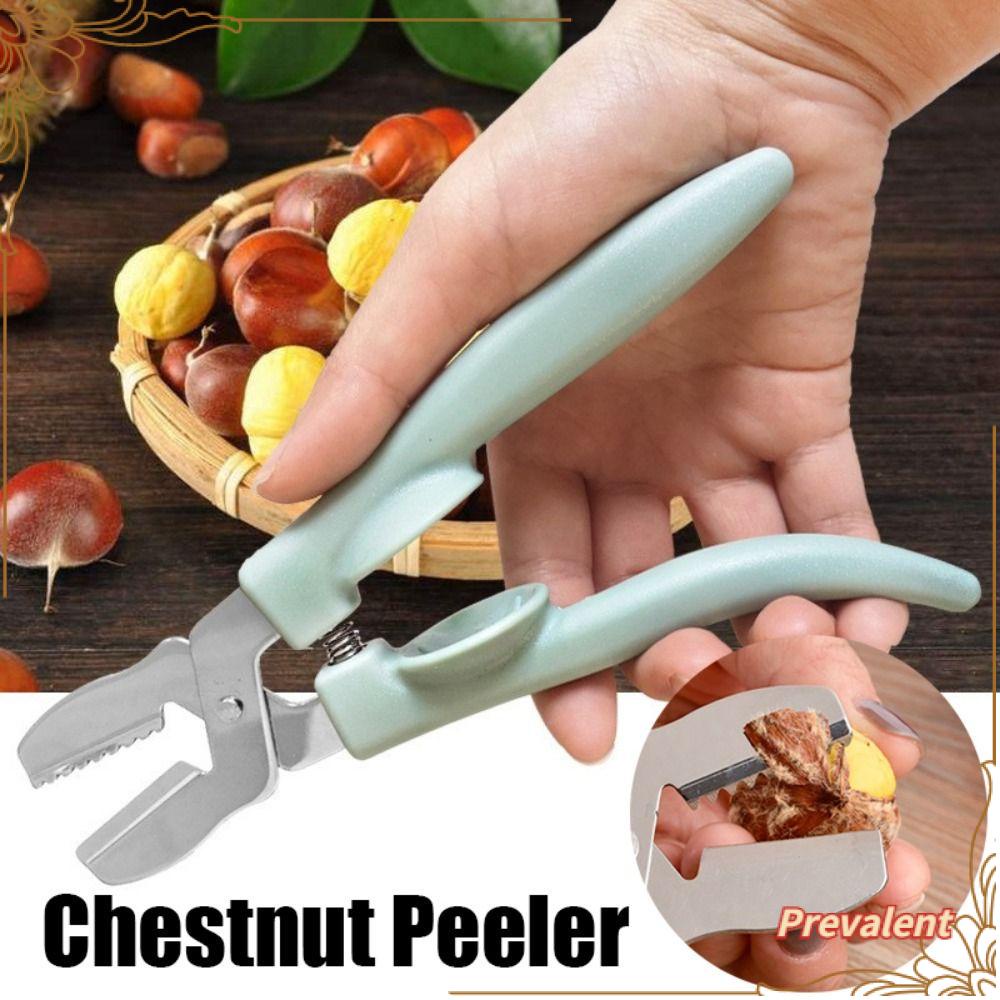 Preva Chestnut Cutter Klip Pembuka Dapur Nyaman Castanea Mollissima Peeler