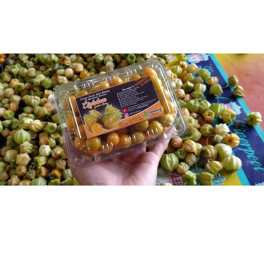 

limited STOCK!Jual Buah CIPLUKAN KUPAS 250 Gram Buah Enak Banyak Manfaat|RA6