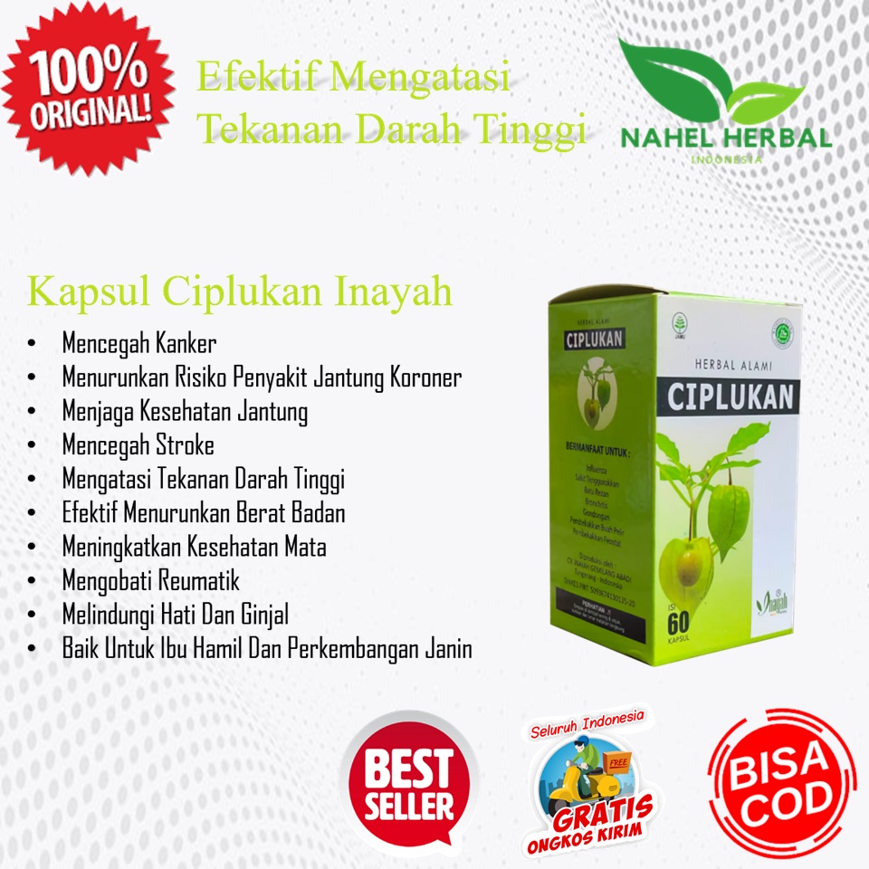 Makanan Obat Herbal Penderita Sakit Lambung Dan Gula Darah Tinggi Dewasa Paling Ampuh - Minuman Kaps