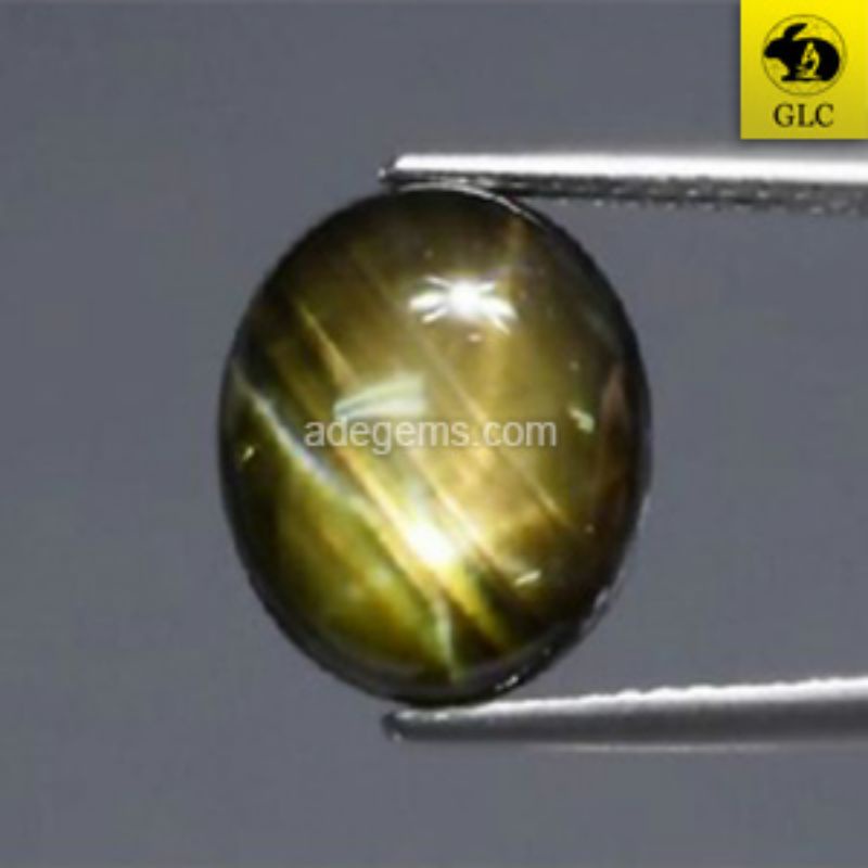 SS-249 Batu Permata Black Star Sapphire 12 Rays Safir Hitam Bintang 12 Sinar 6.81 Ct. Bersertifikat