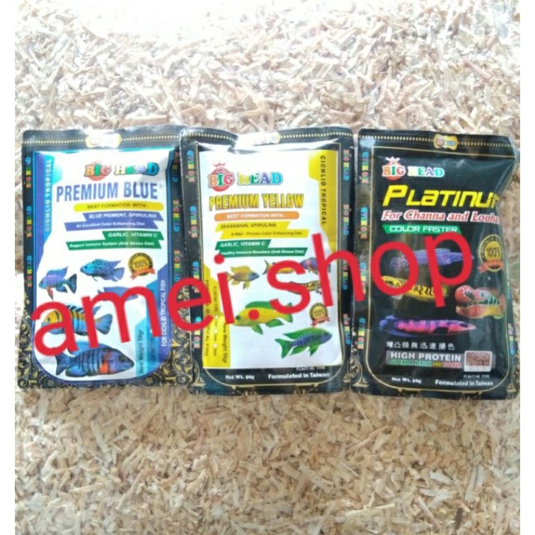 Big Head Premium Blue Yellow Makanan Ikan Canna Cichlid Tropical