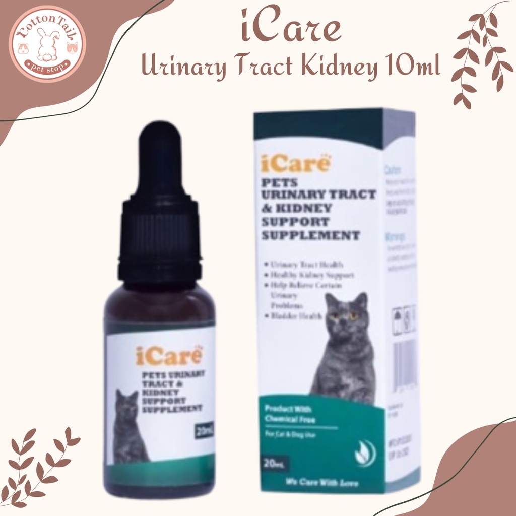 iCare Pet Urinary 10 ml Suplemen Pendukung Saluran Kemih &amp; Ginjal 10ml