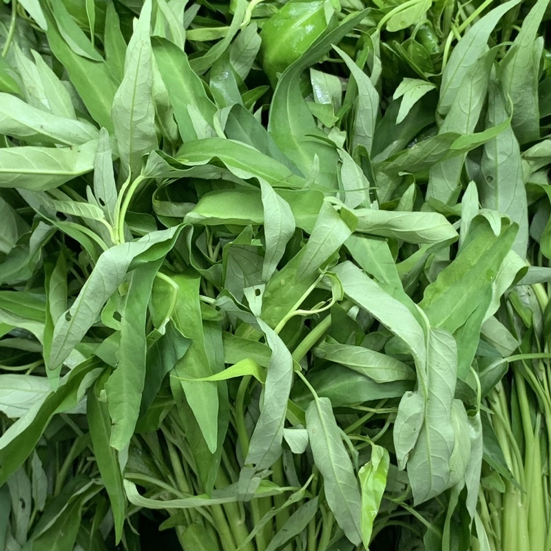 KANGKUNG KUALITAS PREMIUM (KHUSUS SAMEDAY DAN INSTAN)