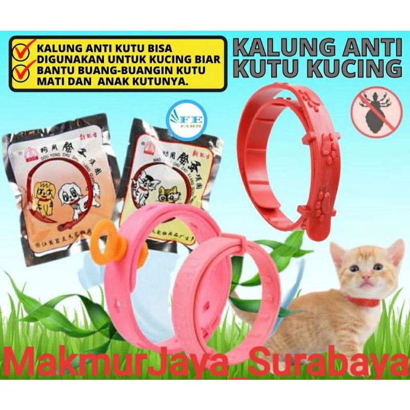 Kalung kutu kucing / kalung anti kutu kucing / aksesoris kucing / obat kutu kucing