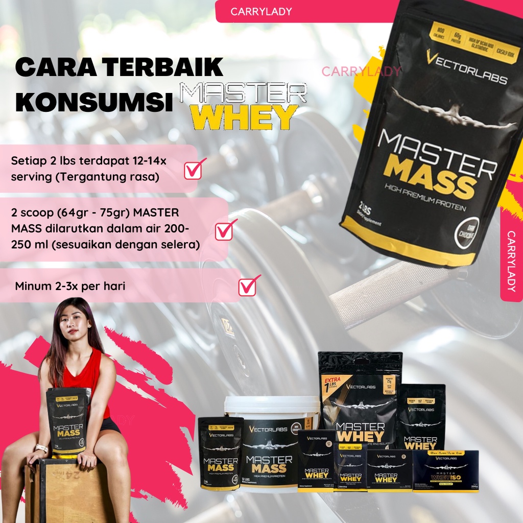 VECTORLABS GAINER VL MASTERMASS MASTER MASS 2LB 2 LB 2LBS 2 LBS 900 GRAM VECTOR LABS SUSU FITNESS WEIGHT GAINER MURAH BPOM HALAL GYM