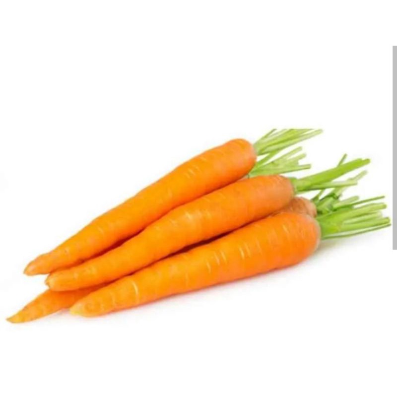 

WORTEL LOKAL PER 250 GR SAYUR SEGAR PALEMBANG