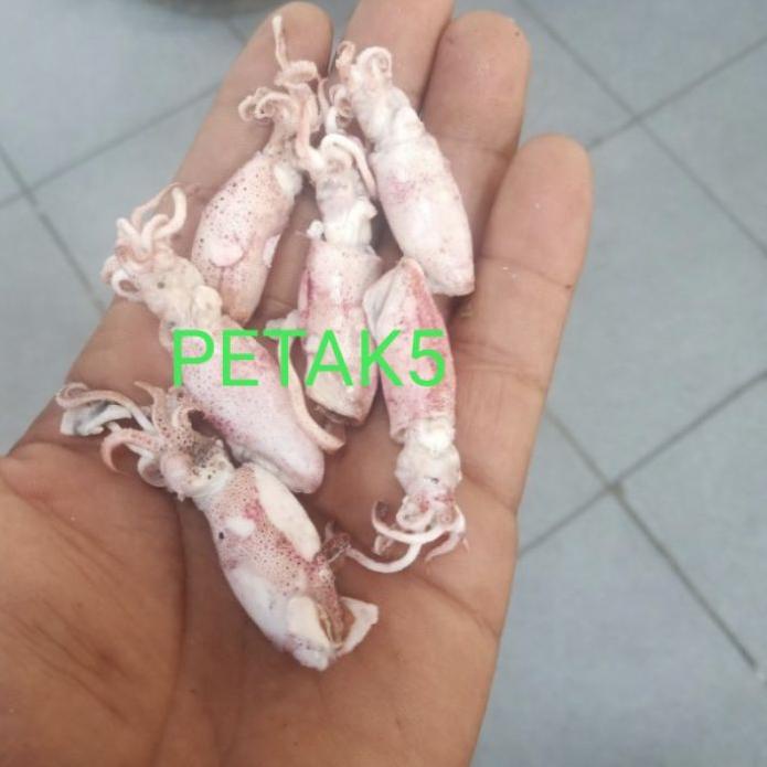 

ホン Cumi asin beby 1kg/ cumi asin baby/cumi asin rebus/cumi asin kecil Promo