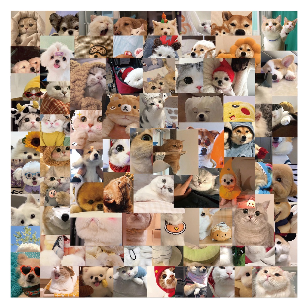 100pcs/pack Stiker Lucu Kucing Anjing Peliharaan Lucu Tahan Air Koper Hias Laptop Scrapbook Sticker