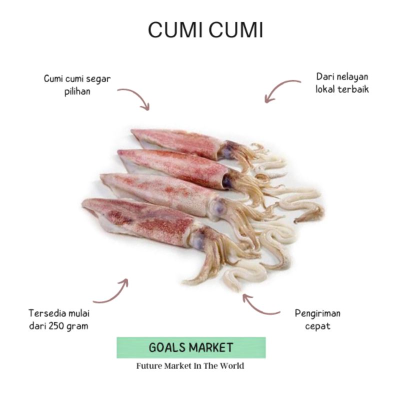 

Cumi Cumi Segar 250 gr - 1kg Ikan Cumi Segar