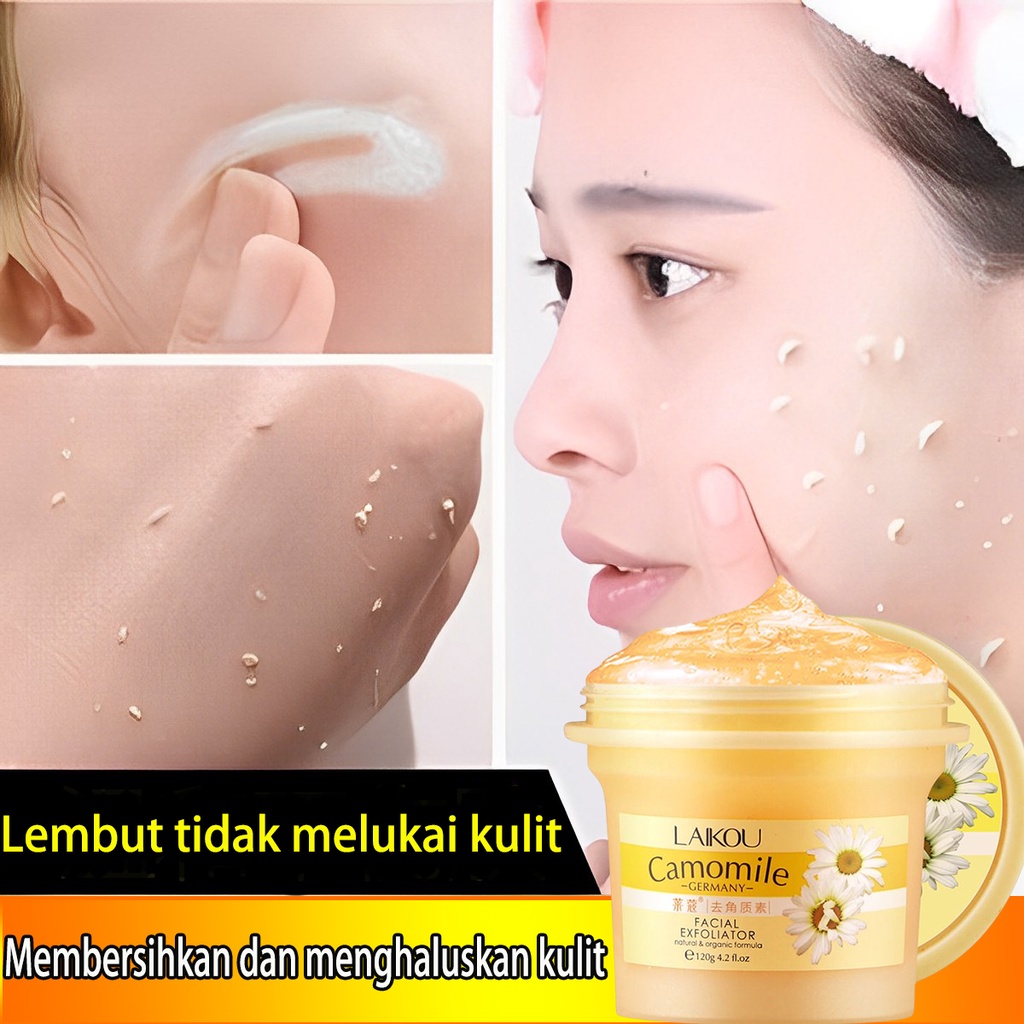 Jual Scrub wajah cream pengelupasan wajah krim pengelupasan 120g Wajah