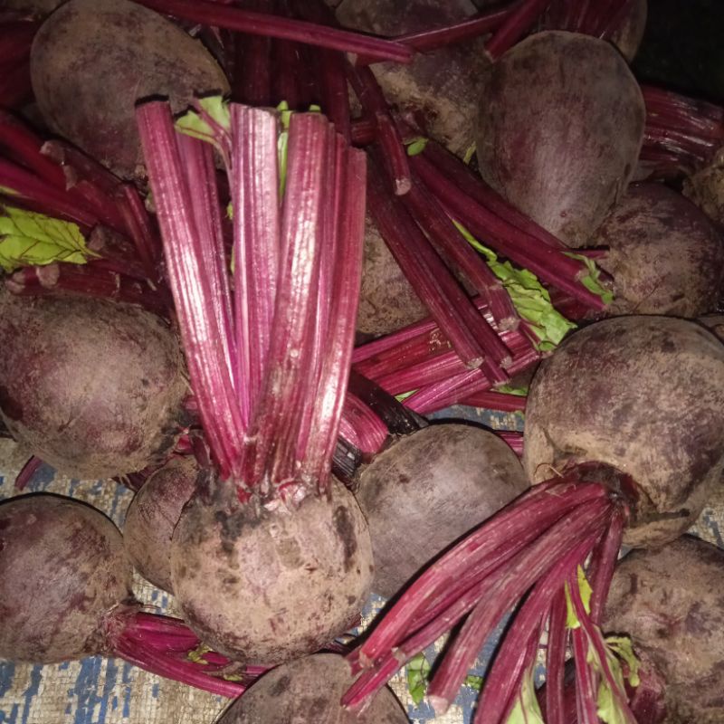 

bitroot/ Buah Bit / Buat bitrut 1kg