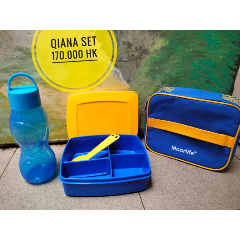 Qiana Set Moorlife (ungu,biru)