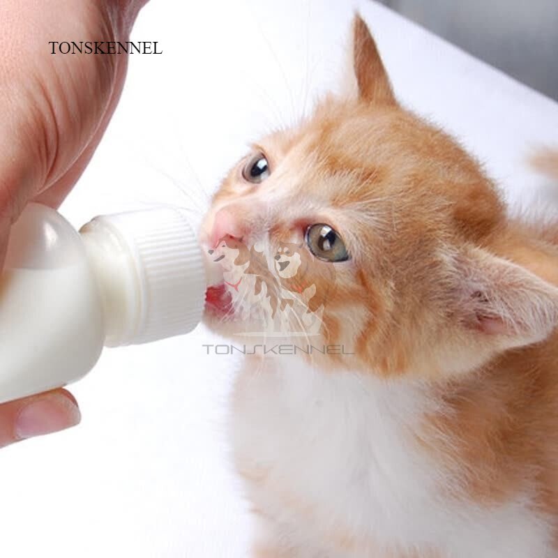 botol dot kucing 50ml dot anak kucing peralatan air minumbotol anjing dot