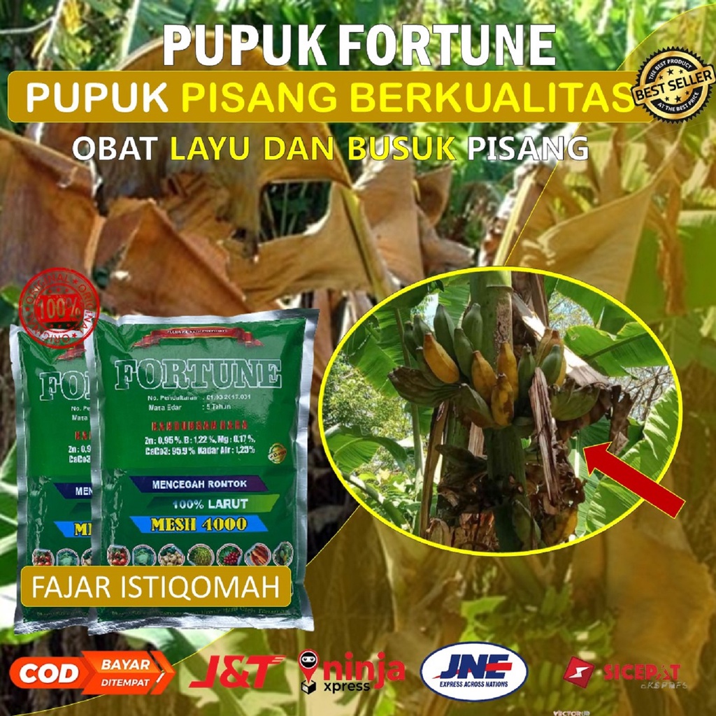 PUPUK FORTUNE isi 1 kg OBAT LAYU PISANG MANJUR - Obat Layu PISANG - Obat Layu Fusarium PISANG - Obat