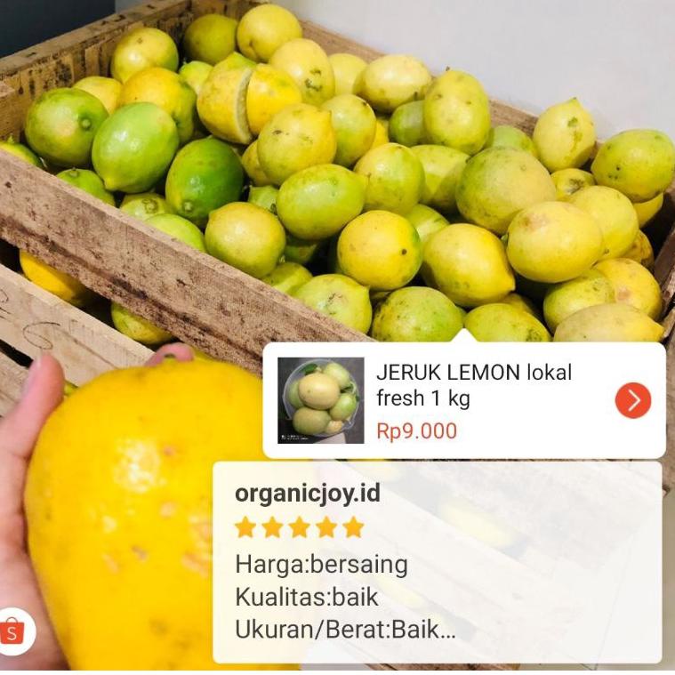 

㊜ LEMON lokal size mini fresh 1kg isi 10 butir+plus ⇷