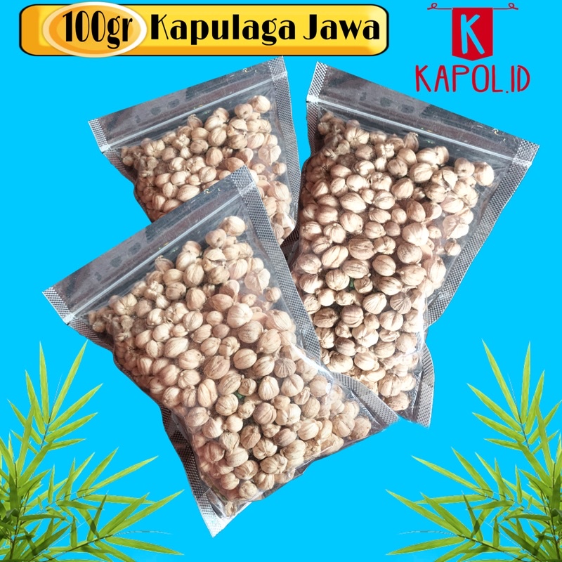 

kapolaga jawa/kapulaga kering/kapol/cardamom