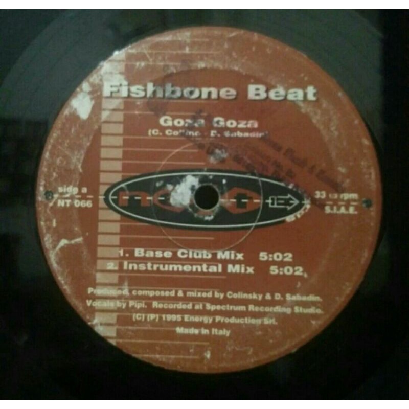 Vinyl Piringan Hitam 12&quot; Fishbone Beat