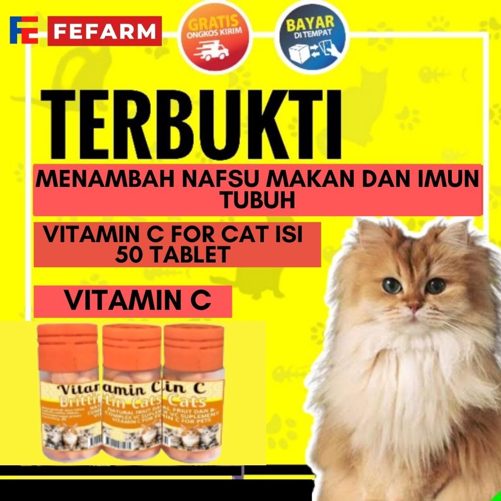 Vitamin C Kucing Hewan Peliharaan Brittin Cat FEFARM