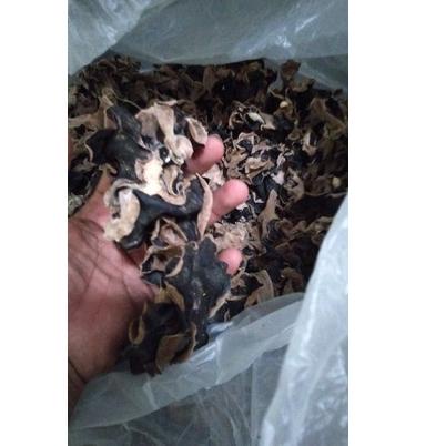 

jamur kuping kering 1kg bisa cod